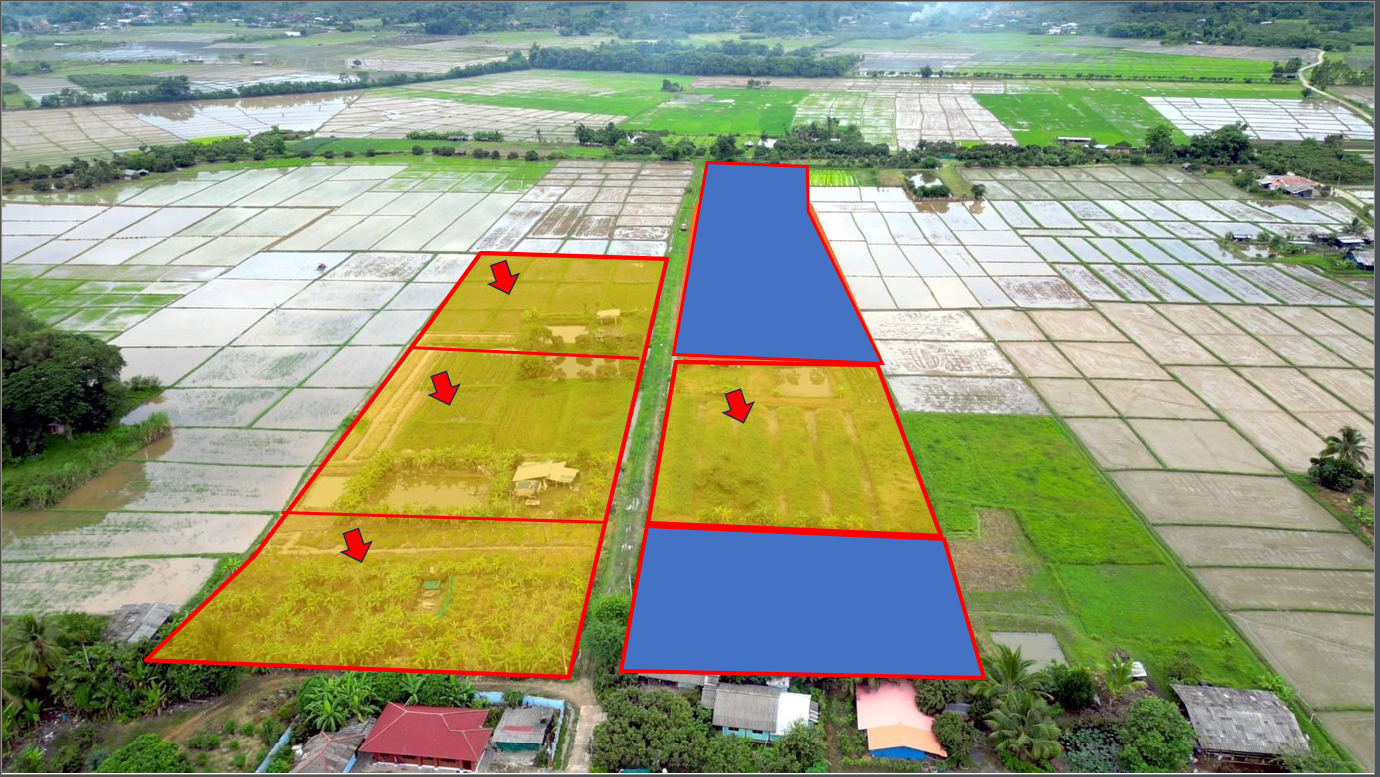 ขายดาวน์ ที่ดินผ่อน 30 ปี พร้าว รูป 2